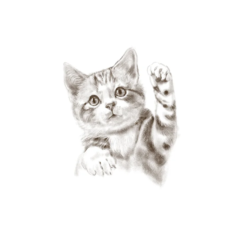 ZTTZDY 18 9*23 см Play Cat Art Living Home Room Color Wall Decor Наклейка для туалета|Наклейки на стену| |