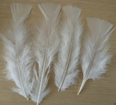 

200pcs/lot 8-10cm natural Flat Head turkey feathers for DIY clothes decoration white feathers feather boa ostrich feathers