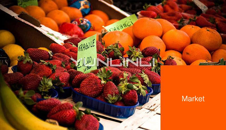 Осушитель для пищевых продуктов из нержавеющей стали, машина для сушки фруктов/овощей/Чили/лекарственных средств, машина для сушки LT-30