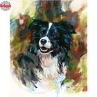 Алмазная вышивка границы колли 5d алмазная живопись полная Алмазная мозаика милая собака 3d картина Стразы Вышивка крестом