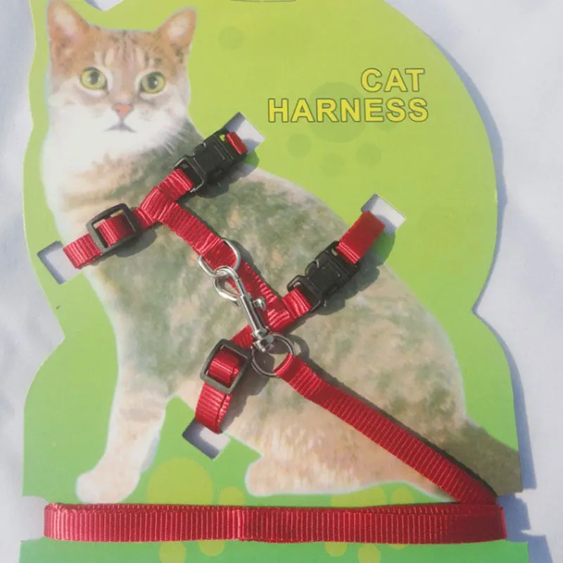 Ошейник Young Dog Cat поводок для поводка на грудь недорогой ошейник котят