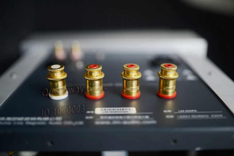 Q-099 линия Магнитный LM-500PA 212 класс вакуумная трубка моно усилитель мощности 300B 310 274B вакуумная трубка односторонний баланс вход