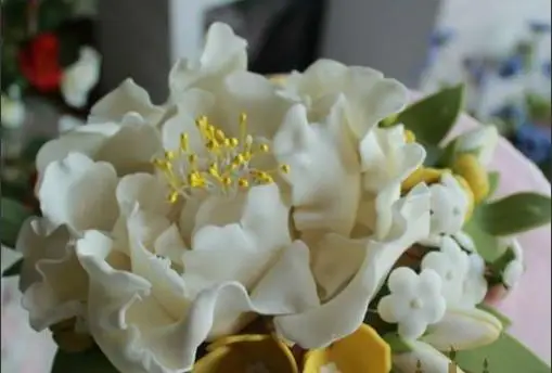 

Double sugar cake stamen sugar flowers big blossom diameter 2mm 800pcs