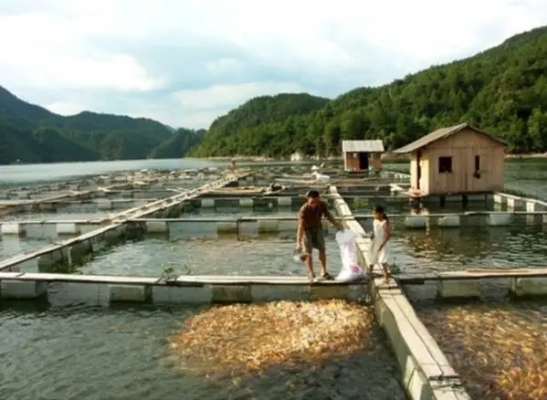 Клетки для аквакультуры используемые водных растений водорослей рыбы насекомых
