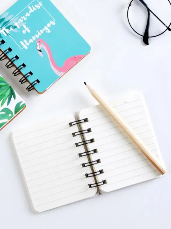 Fresh Spiral Coil Notebook 3 PCS/Lot Cute School Supplies Student Small Book Creative Diary Planner | Канцтовары для офиса и