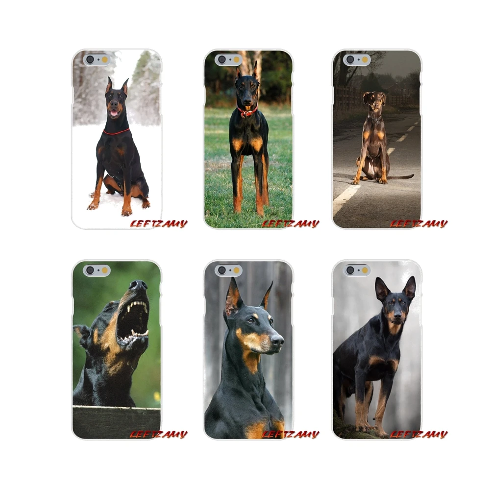 Pinscher собака добермана язычок лицо для iPhone X XR XS MAX 4 4s 5 5S 5C SE 6 S 7 8 Plus Аксессуары чехлы