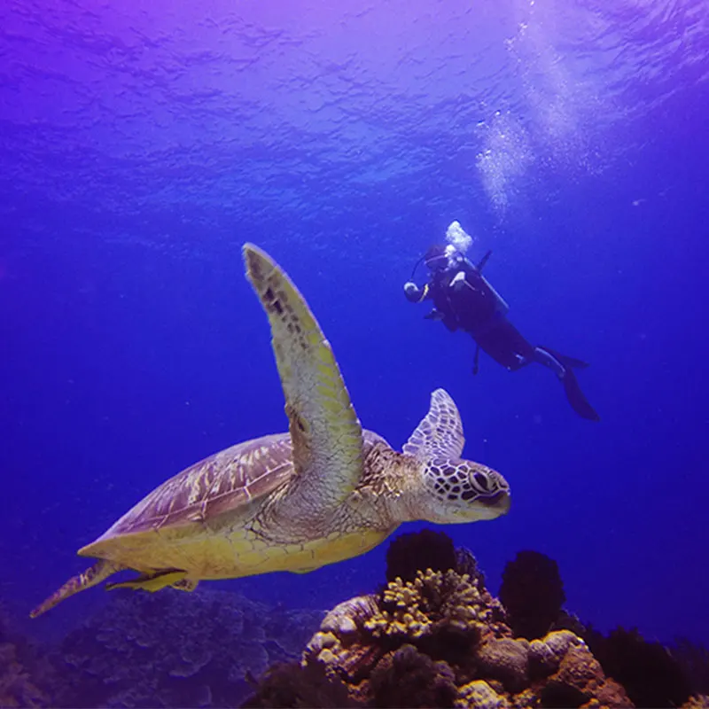 Фильтр для дайвинга GoPro Аксессуар водонепроницаемый чехол красный фильтр