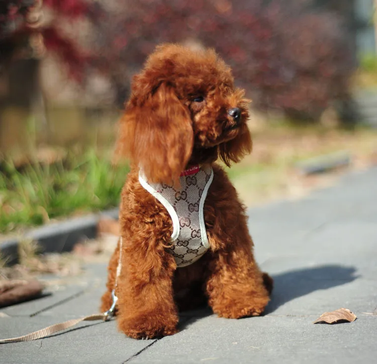 Комфорт Мягкой Дышащей Собаки Жгут Пэт Жилет Плюшевый Тягового Каната Собака