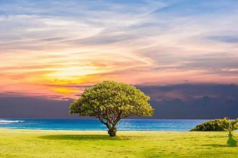 GLymg красивая мозаика подарок Reborn Tree полная дрель 5D алмазная живопись вышивка