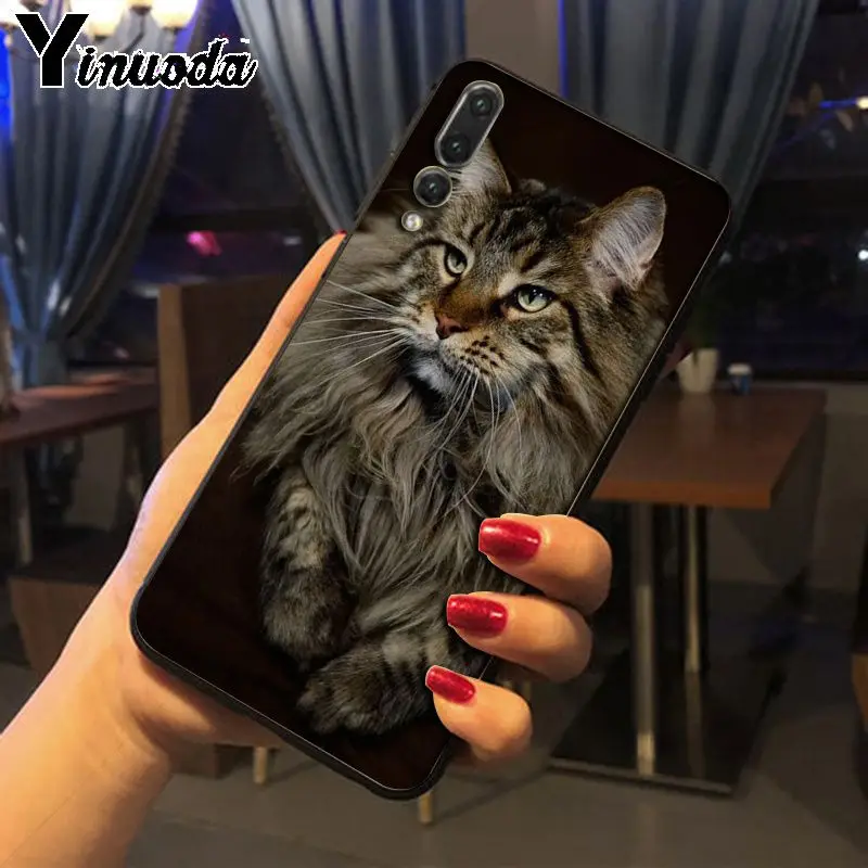 Yinuoda pet maine coon cat Phone Cases for Huawei P20pro mate10lite p10plus honor 8x 20 7A nova3i mate20lite funda | Мобильные