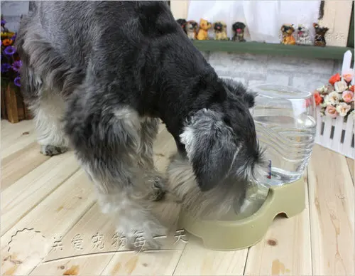 Товары для домашних животных 4012 # товары автоматическая водная кормушка собак