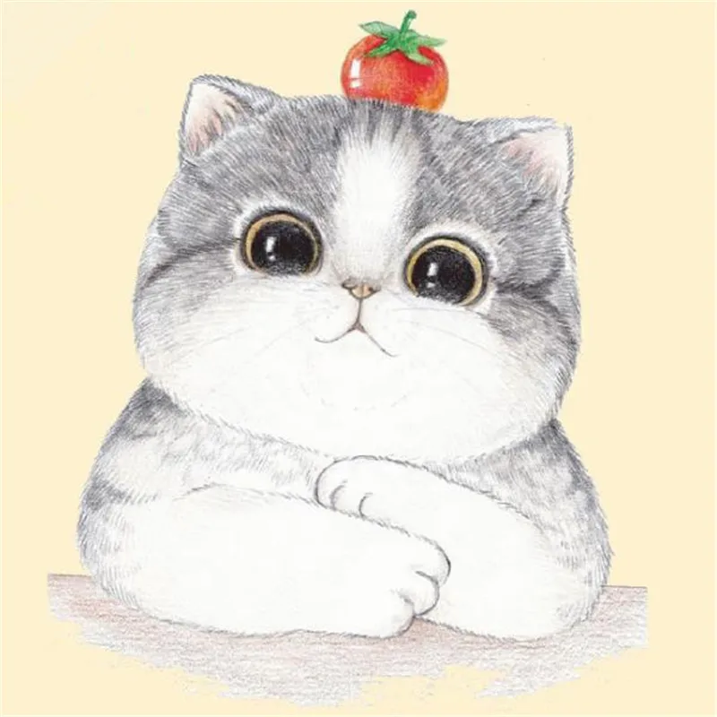 Футболка для женщин с аппликацией кошки и яблочным узором, логотип, наклейки для одежды, переносной принт, верхняя одежда для девочек.