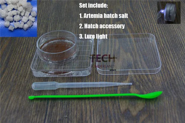 Сказочное яйцо креветки яркое детское инкубатор для креветок корм маленькой