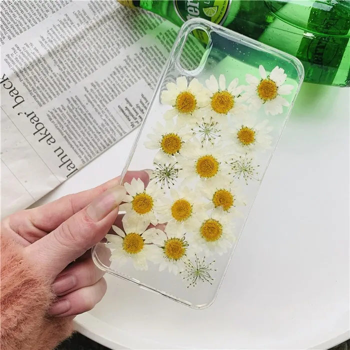 Настоящий высушенный цветок ромашка чехол для iPhone X Xs Max прозрачный мягкий Tpu 6 s 7 8