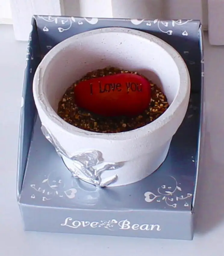 50 шт. надпись Love Magic Bean или I U|love magic beans|love magiclove love |