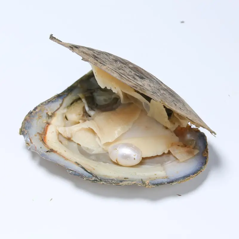 DMKB0033 6 9 мм натуральный жемчуг Пресноводный Культивированный рисовый бисер