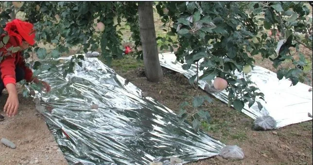Сельскохозяйственная двухсторонняя светоотражающая пленка из майлара для
