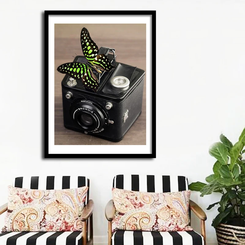 OUYIJIA 5D DIY алмазная живопись камни в форме ромба бабочки животное цветок Камера