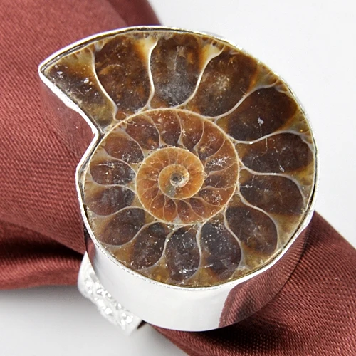 Luckyshine antique aneis feminino silver plated natural Ammonite Fossil floating charms for jewelry making rings unisex | Украшения и