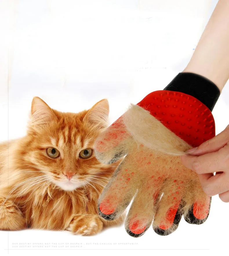 Chat Gants Cheveux Peigne Pet Brosse De Bain Massage de Chien Toilettage Pour Animaux Fournitures Nettoyage | Дом и сад