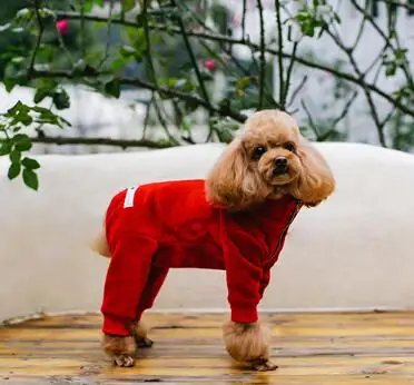 Red-Boy Зимняя одежда для собак, теплая куртка с капюшоном, Комбинезоны для маленьких и средних собак, утолщенная двухслойная флисовая куртка на молнии, пальто для чихуахуа, Мопса - Цвет: Red-Boy