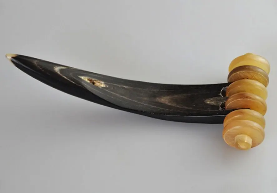 Из аутентичные бык рогом все тело массажер активации кровообращения |