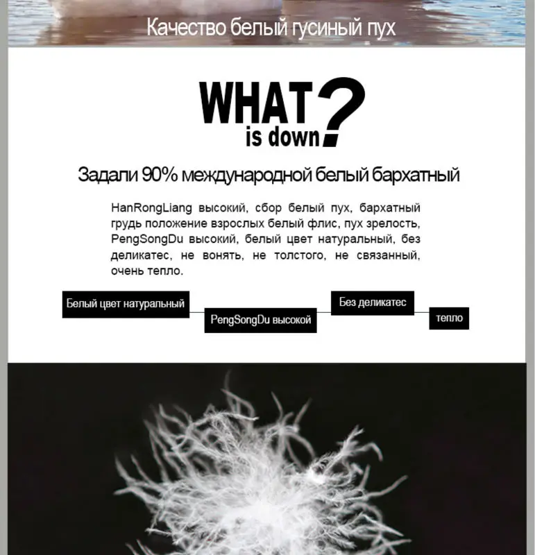 Skinnwille Зимние Пальто И Куртки Женщины Вниз Зимняя Куртка Одежда Утолщенние Сохраняющее Тепло зимние куртки женские женский пуховик пальто Новинка женское пальто