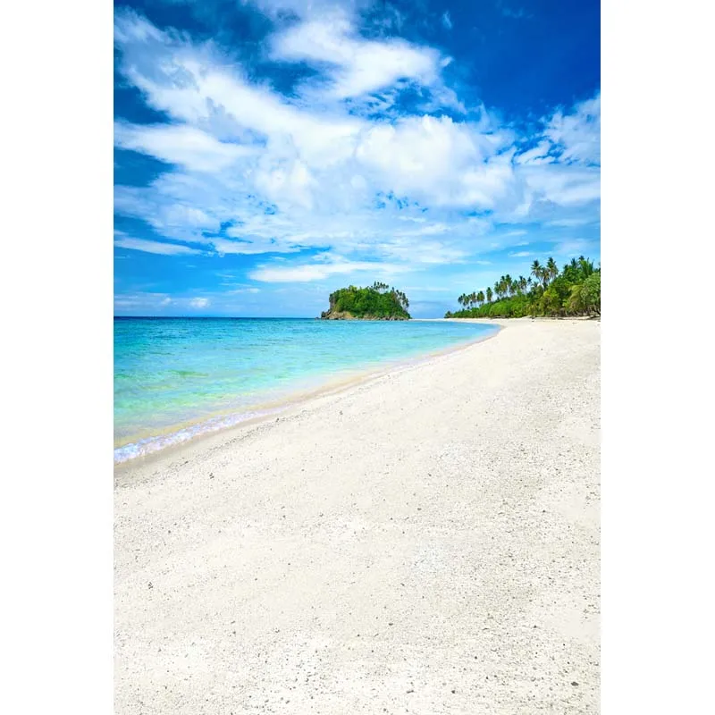 

Thin Vinyl seaside beach backdrop for photo studio outdoor background backdrops F-2643