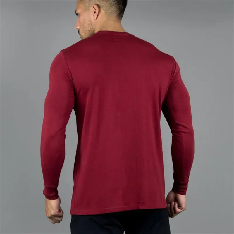 ALPHALETE Новая мода новая мода тренажерные залы спортивные для бодибилдинга футболки Для мужчин с длинным рукавом Фитнес Для мужчин, одноцветные, высокое качество детские футболки