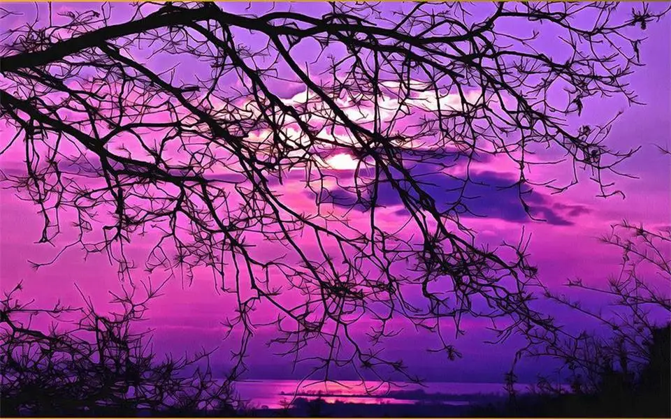 Настенные 3d обои для комнаты нетканые с изображением фиолетового заката