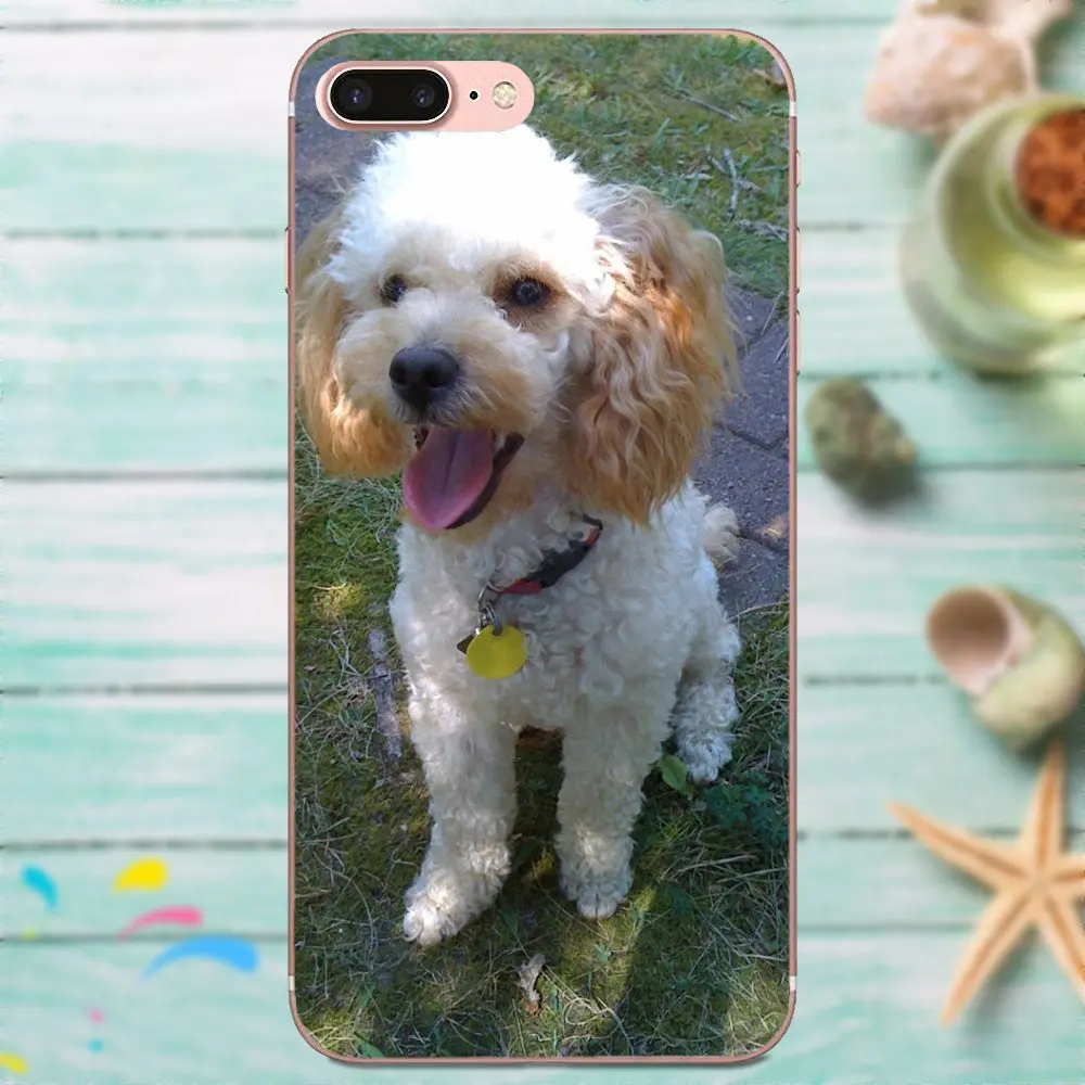 Чехол из ТПУ для Huawei Honor 4C 5A 5C 5X 6 6A 6X 7 7A 7C 7X 8 8C 8S 9 10 10i 20 20i Lite Pro Toy Poodle Dog Puppy | Мобильные