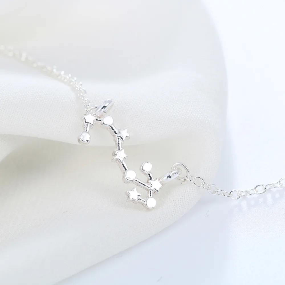 Kinitial Birthday Gift! 10pcs Gold Silver Scorpio Necklace Zodiac Sign Astrology Constellation Horoscope 24/10-22/11 | Украшения и