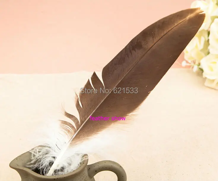 

30Pcs/lot!25-30CM long Natural Pheasant Feathers,LOOSE Pheasant Quill Feathers,Quills,craft feathers