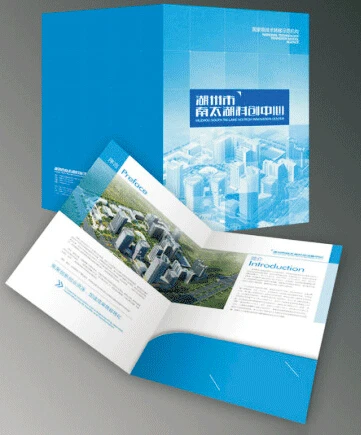 Заводская поставка 300 г/кв. М папка для презентаций A4 с одним карманом 22*31 см