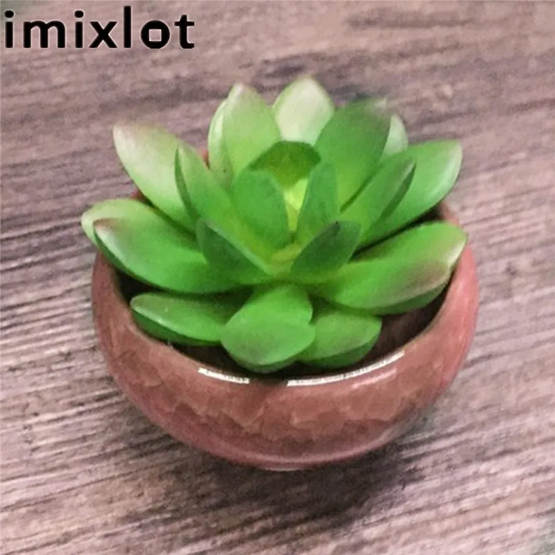 Imixlot креативные DIY Мини Зеленые растения бонсай суккулент с керамическими