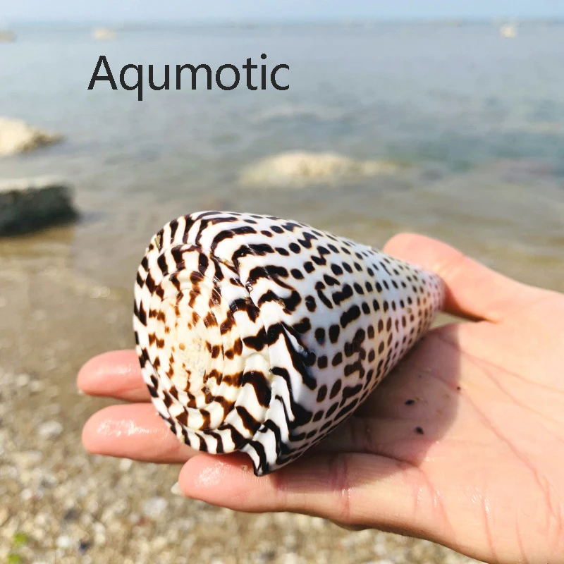 Aqumotic как кукурузная раковина желтый большой раковины натуральный винт 1 шт. Рыба Аквариум Декор для ванной комнаты Забавный фэн-шуй счастливый инструмент золотой