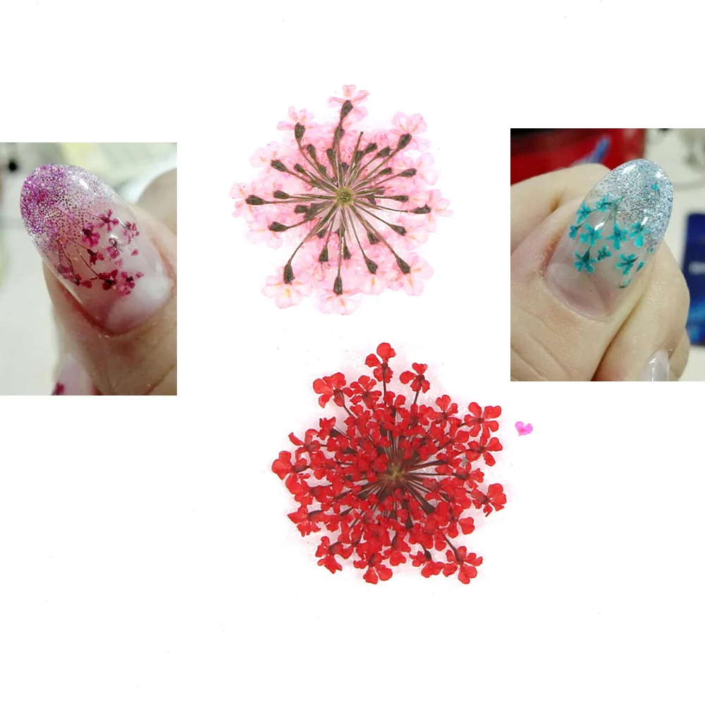 Настоящий натуральный лепесток сушеные Цветочные кончики 3D украшения ногтей