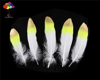 100pcs 100 natural premium goose feather 20 25cm8 10in white yellow tail gold tip beautiful for diy costume mask headdress