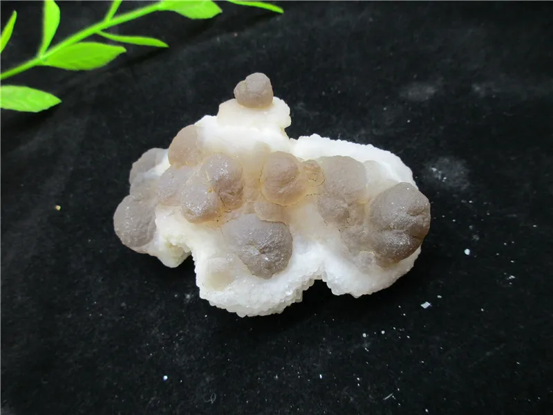 

Rare Natural Morocco Agate Mineral Specimen Gray Agate Quartz Rock Stones Healing Energy Collection Geological Teaching