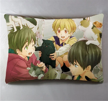 Аниме Манга бесплатно! IWatobi swim Club 40x60 см, наволочка, чехол для подушки, постельные принадлежности, чехол для подушки