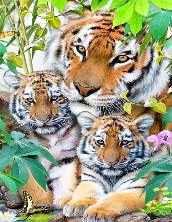 Рукоделие 5D Сделай Сам алмаз живопись наборы для вышивки крестом полный смолы