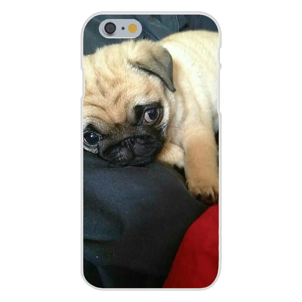 Pug Life Pugs Not Drugs для Galaxy J1 J2 J3 J330 J4 J5 J6 J7 J730 J8 2015 2016 2017 2018 mini Pro TPU Mobile | Мобильные телефоны