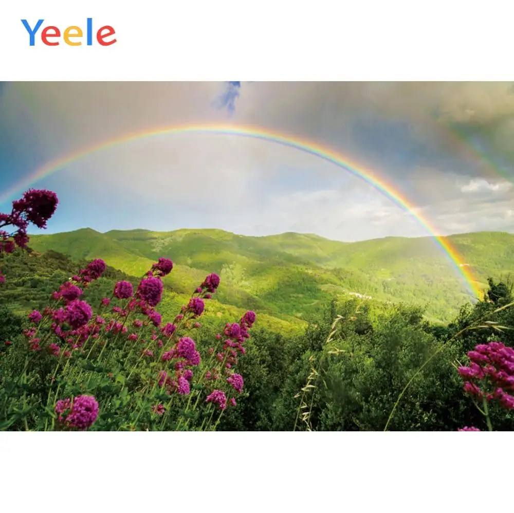 Yeele небо облака радуга цветы пастбища пейзаж фотографии фоны индивидуальные