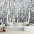 Настенные 3D обои на заказ, фрески с природным пейзажем, зимний березовый лес, пейзаж, большие фрески для гостиной, дивана, ТВ-фона