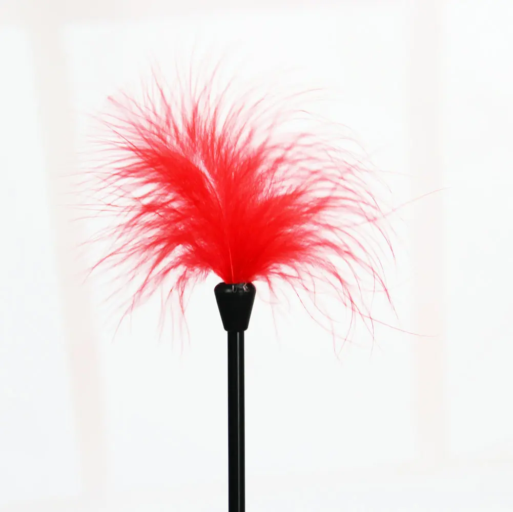 БДСМ перьевые хлысты Фетиш раб шлюха Сексуальная шлепка весло пони для верховой