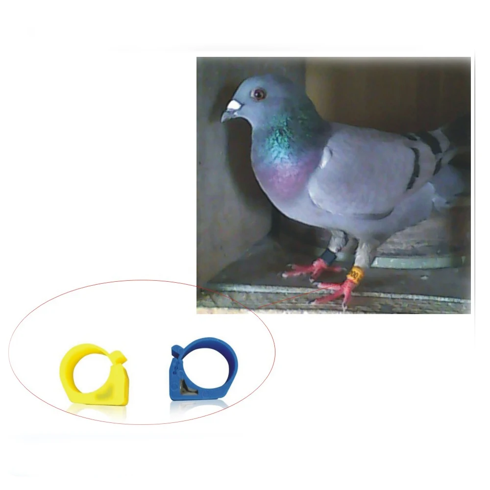 10 шт. Hi tag S256 голубинное кольцо Пластиковые ног птиц тег для животных rfid бирка с
