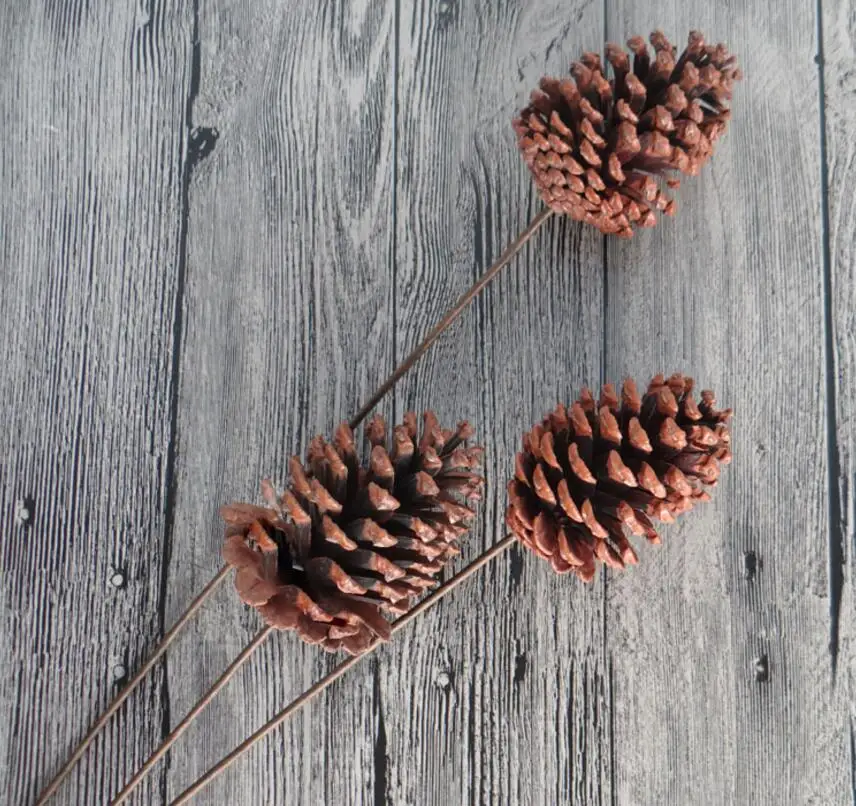 10 шт. натуральный сушеный сосновый конус с железной проволокой для свадебной