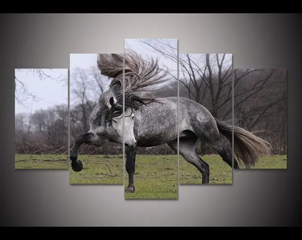 

Framed Print horse painting modern home decor wall art picture for living room decor print Painting on canvas art /PT0716