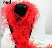 red Новое поступление! 2 м/лот костюмы боа из страусиных перьев/отделка для вечерние/костюм/шаль/Ремесло 26 цветов - Цвет: red