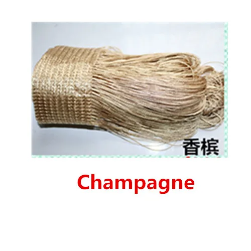 Champagne 16 цветов Бусины Шторы, дверь, окно перегородка для гостиной шторы балдахин вечерние свадебные украшения - Цвет: Champagne